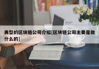 典型的区块链公司介绍[区块链公司主要是做什么的]